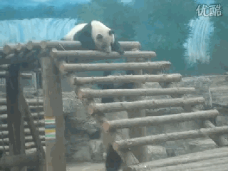 620626d0jw6dehytmimdtg.gif