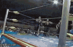 78.gif