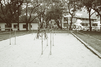 22710030.JPG