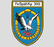 fsk300-logo[1].jpg