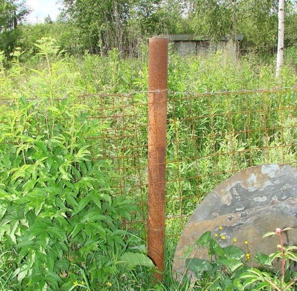 nest01.jpg