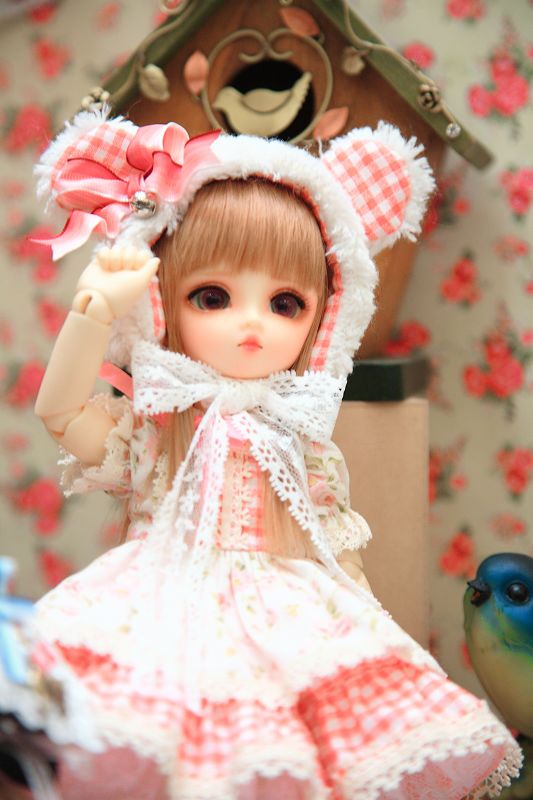 nEO_IMG_DPP_095.jpg