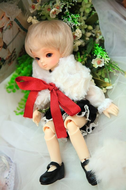 nEO_IMG_DPP_155.jpg