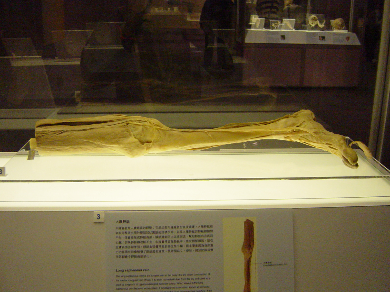 9ct25.jpg