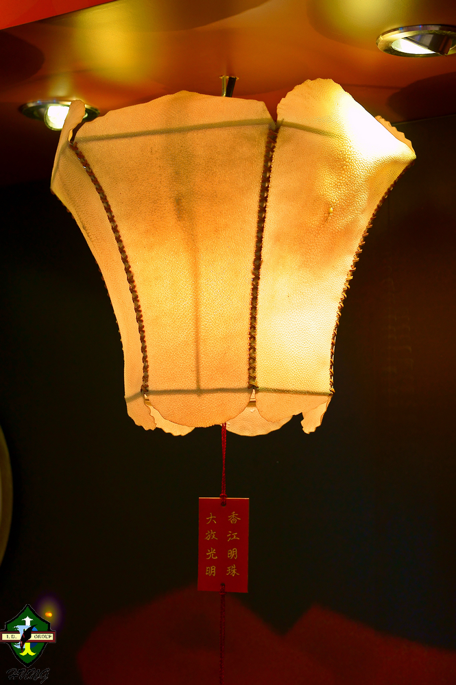DSC04640.jpg