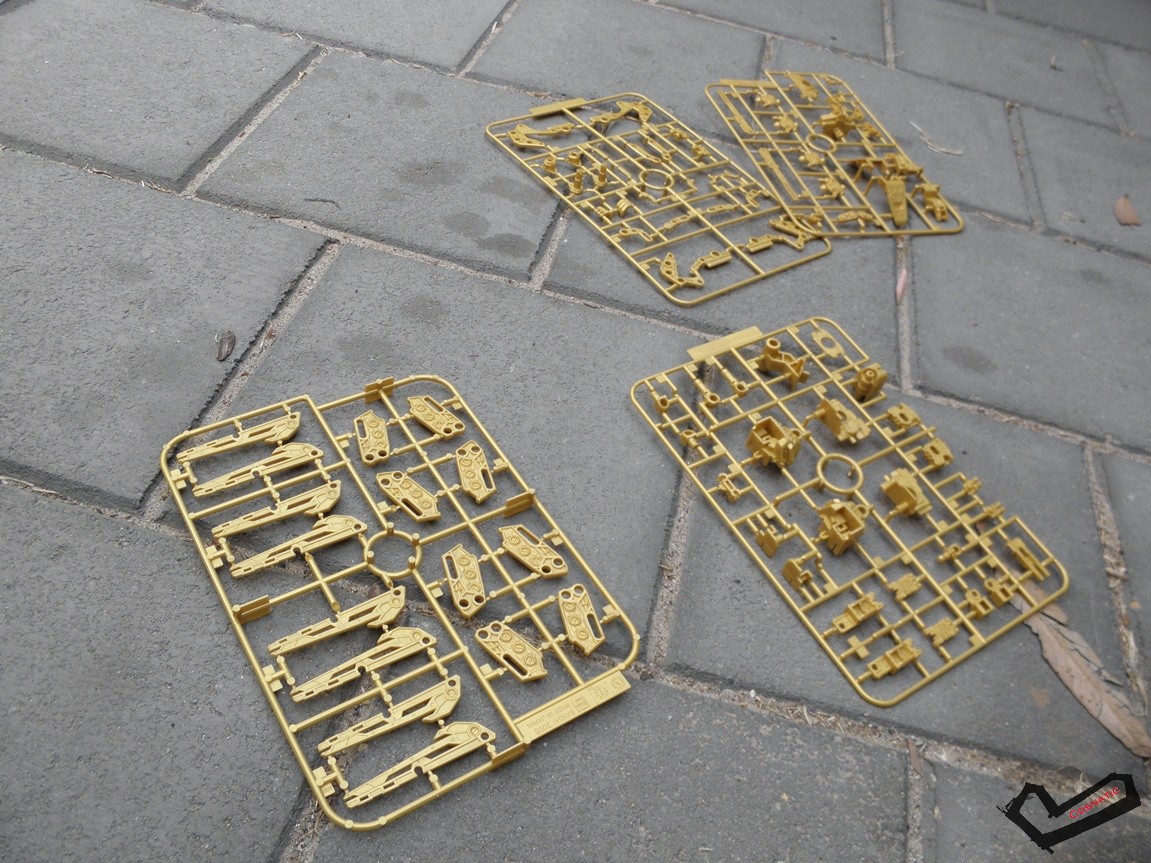PA220537.JPG