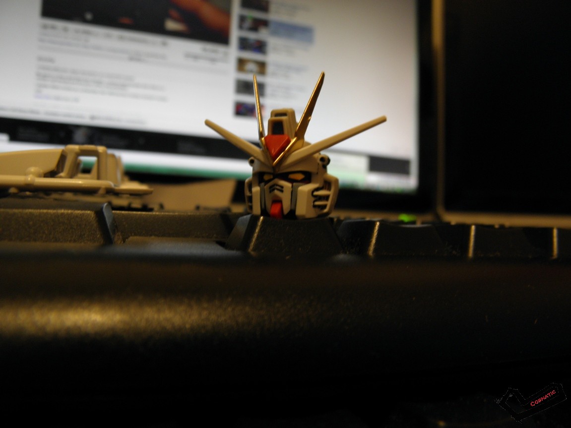 PA220557.JPG