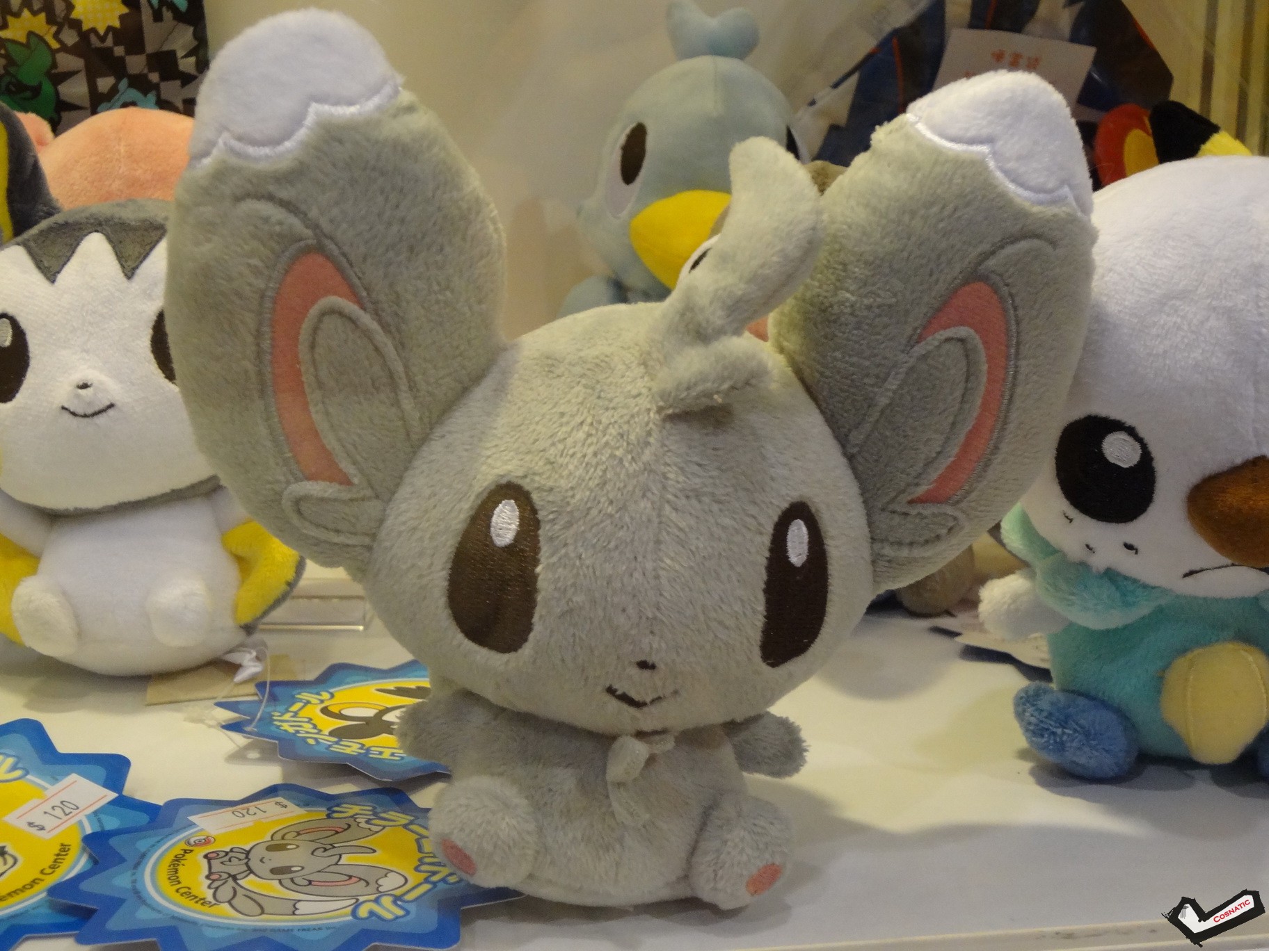 DSC01454_调整大小.JPG