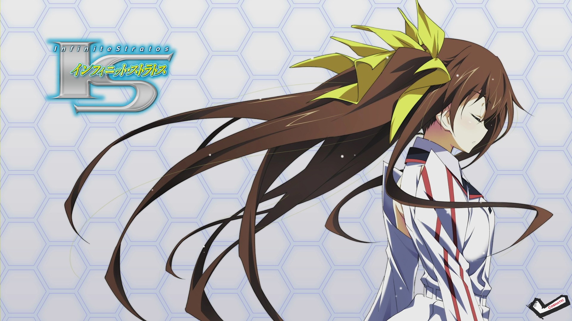 [Desktopstreet2.net]infinite_stratos_110175_111128053012.jpg