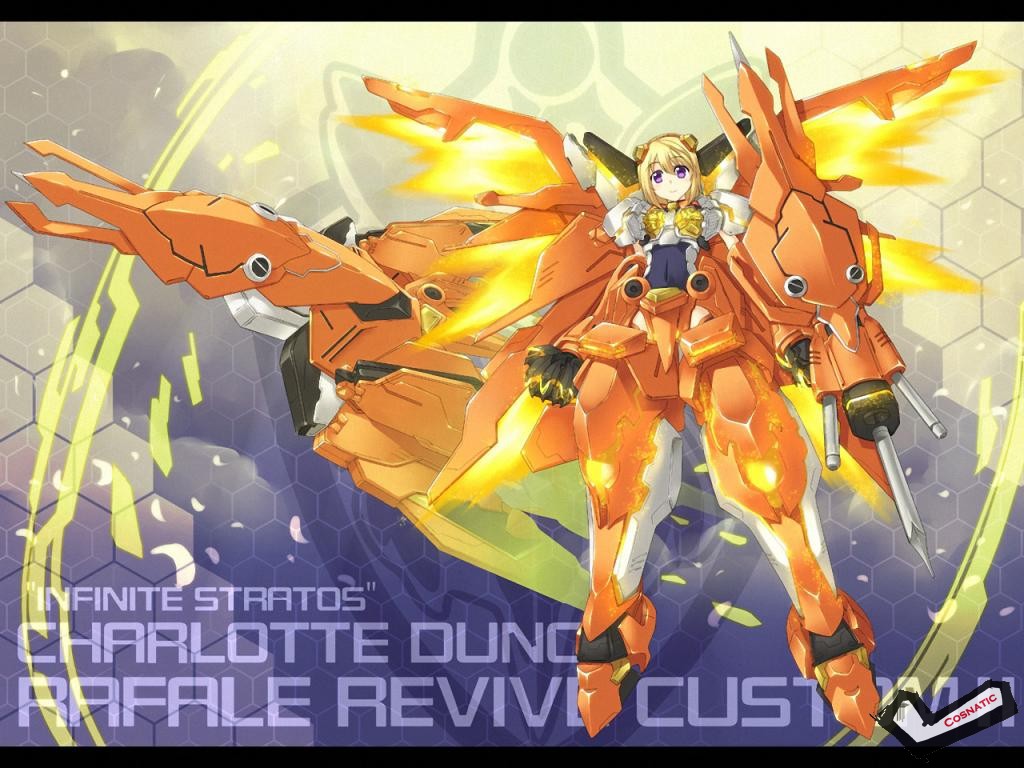 [Desktopstreet2.net]infinite_stratos_1024768_111204081832.jpg