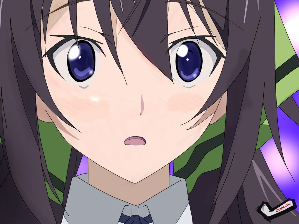 [Desktopstreet2.net]infinite_stratos_1024768_111204082232.jpg