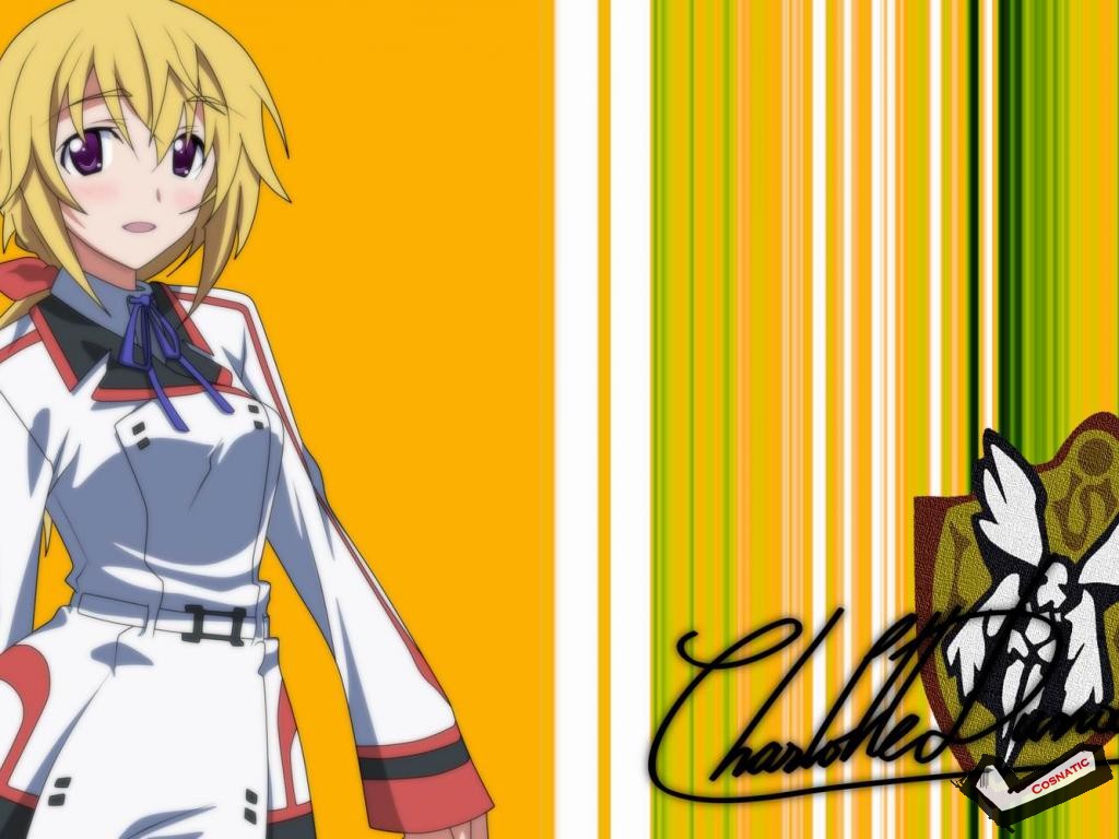 [Desktopstreet2.net]infinite_stratos_1024768_111204082406.jpg