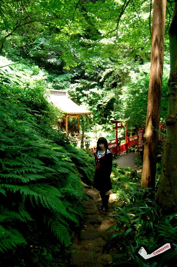 _image_cb041.jpg