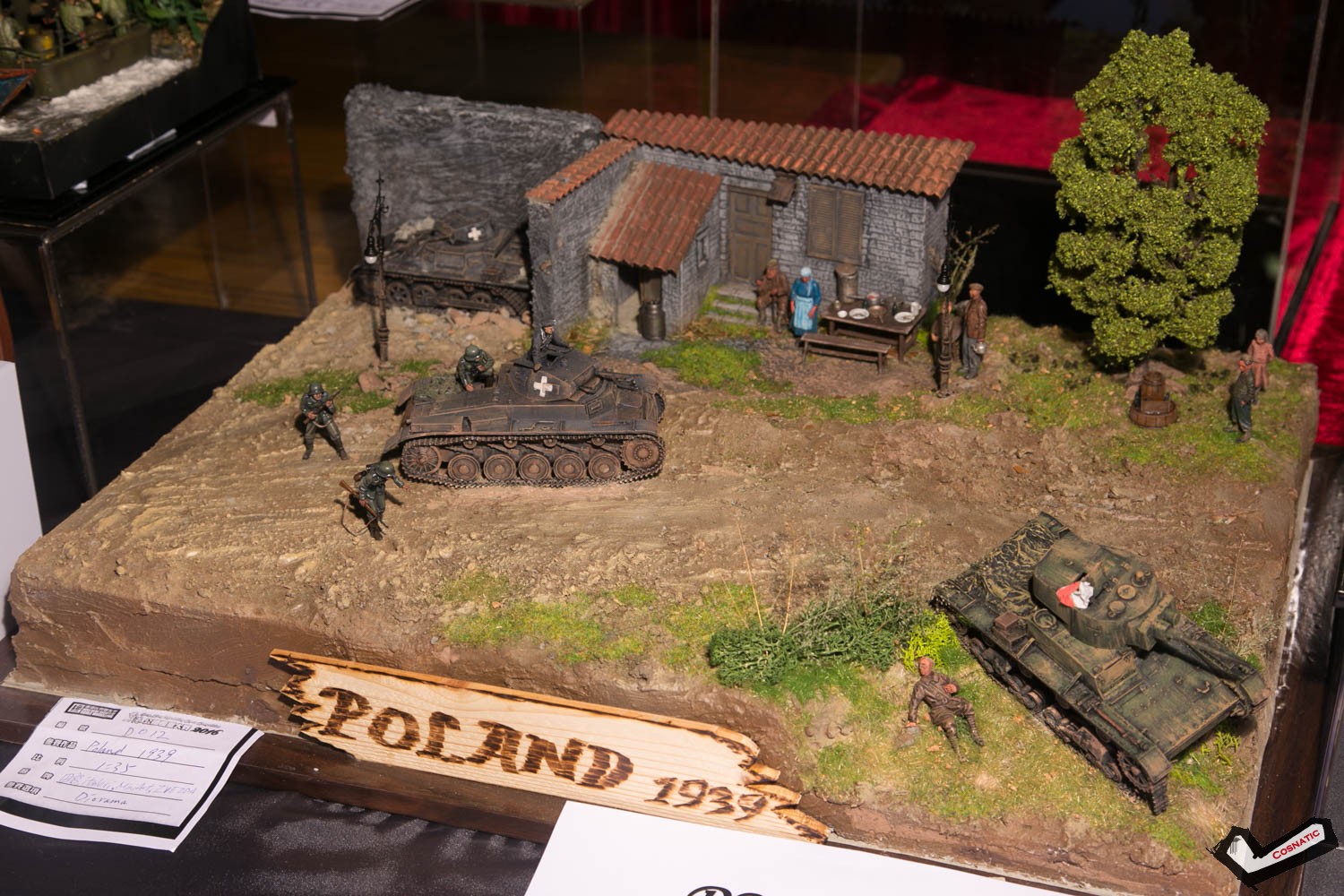 IMG_6370.jpg