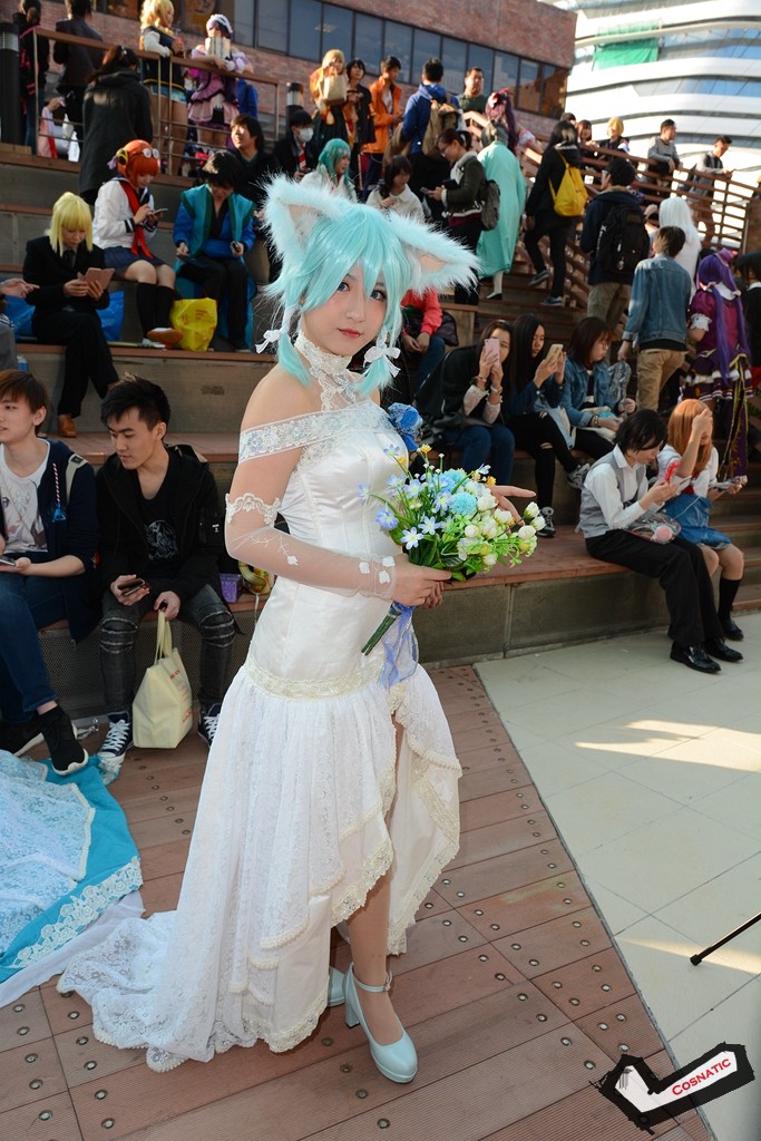 DSC_0895.jpg
