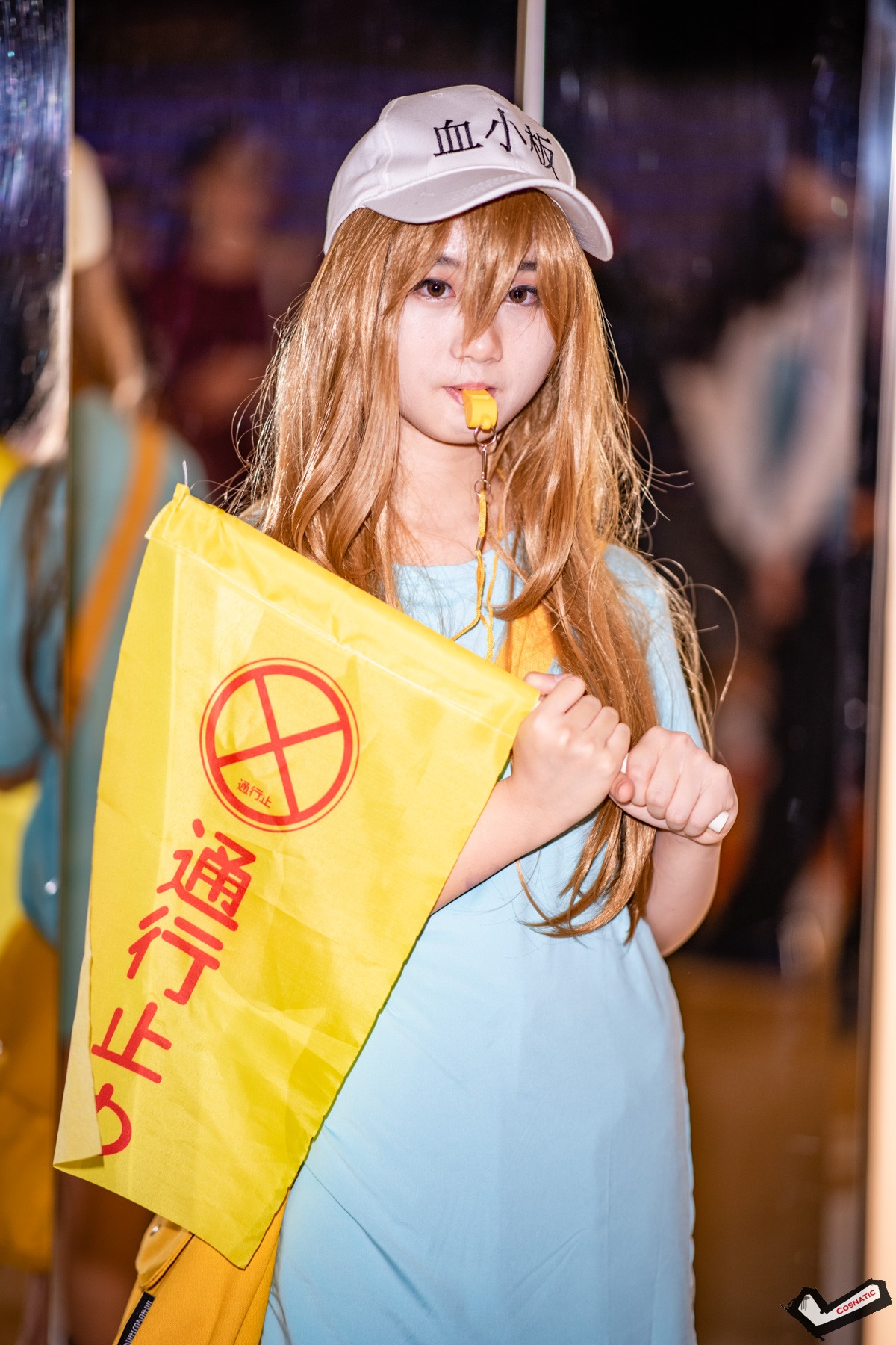 DSC_8239.jpg