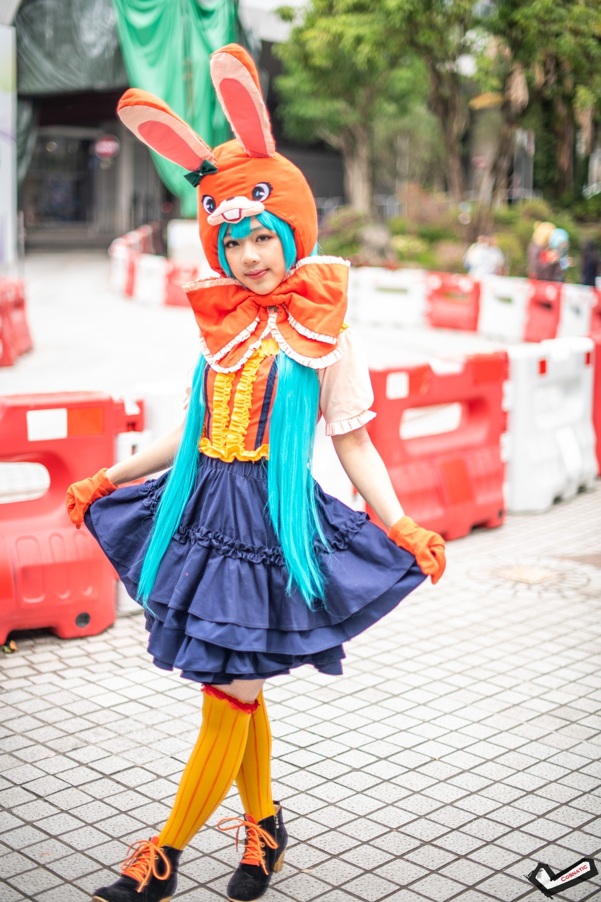 DSC_2243.jpg