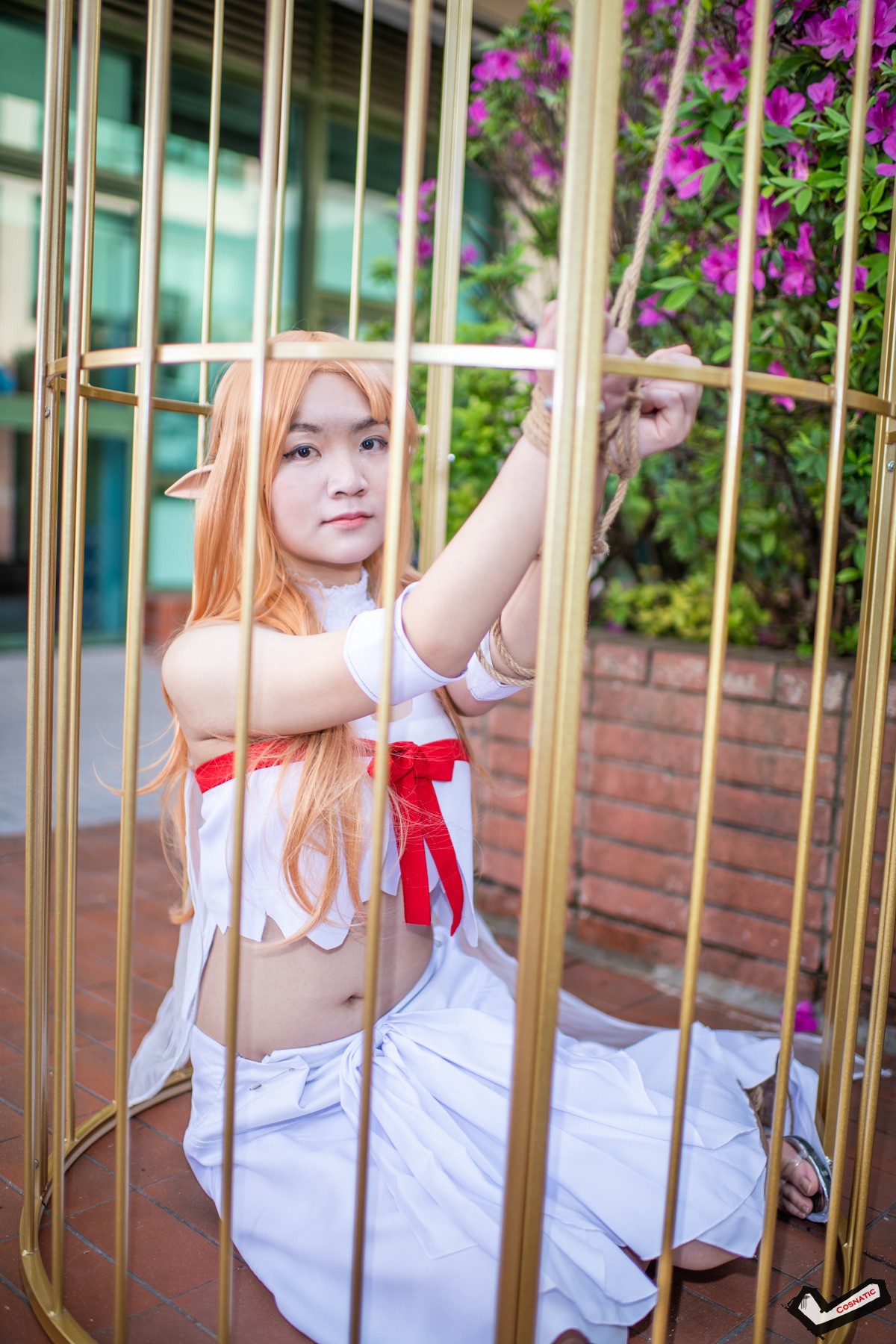 DSC_8362.jpg