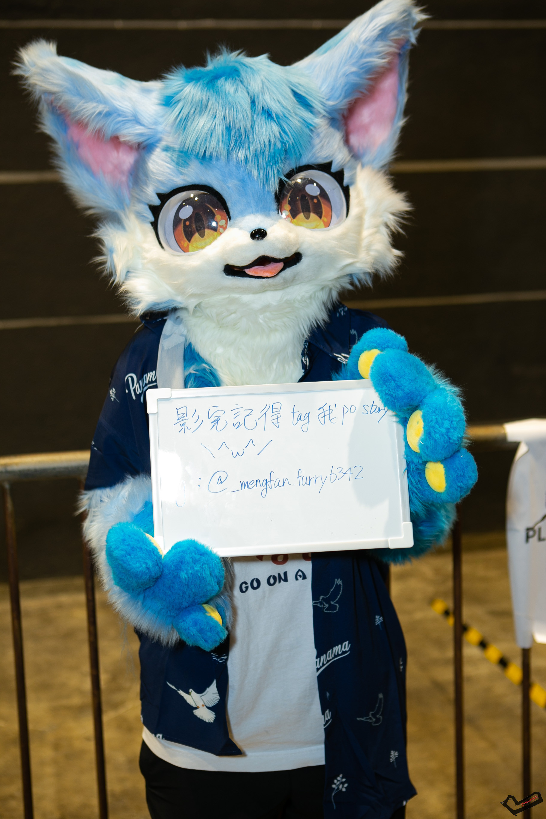 IMG_6211.jpg