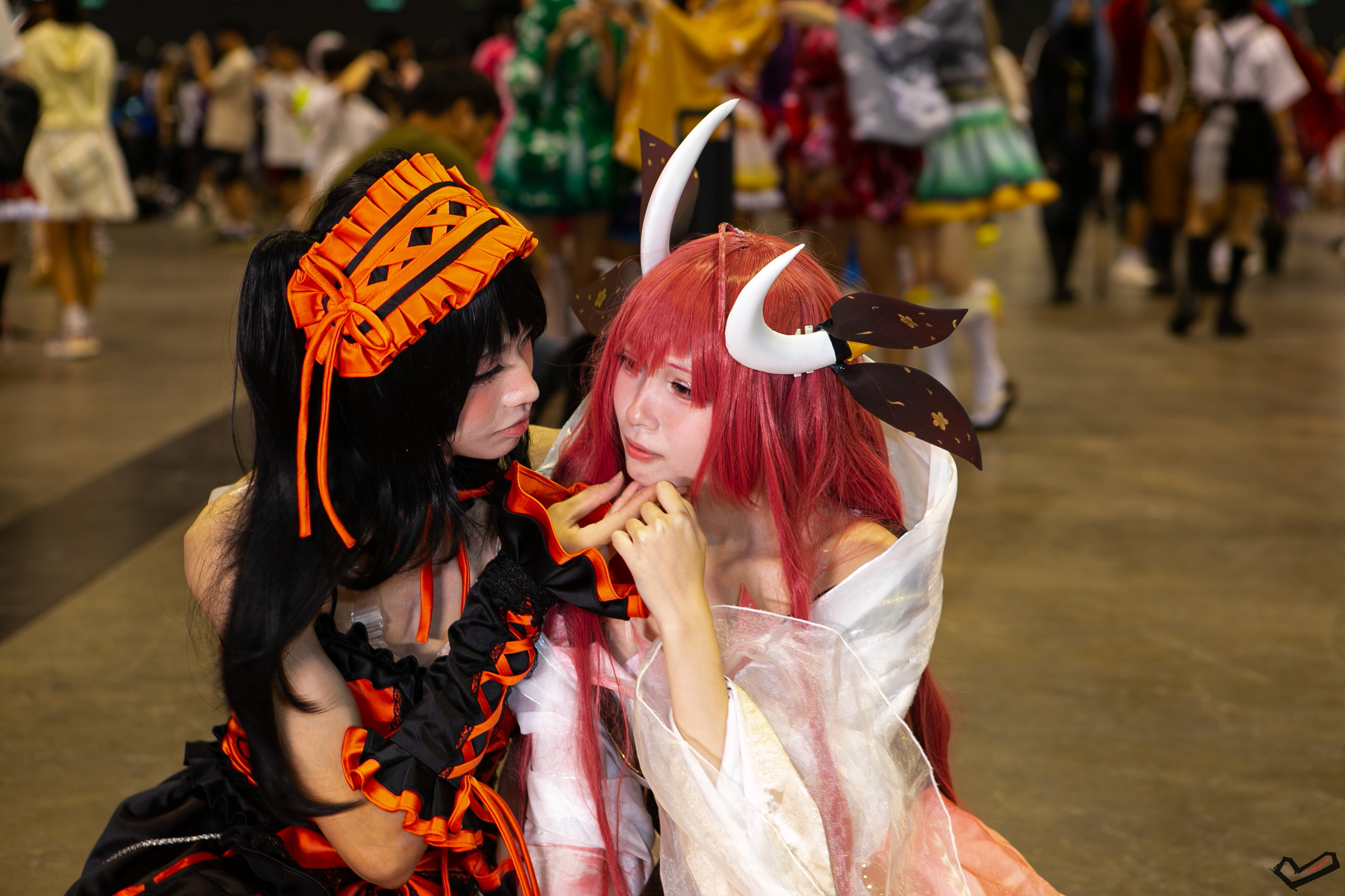 IMG_6741.jpg