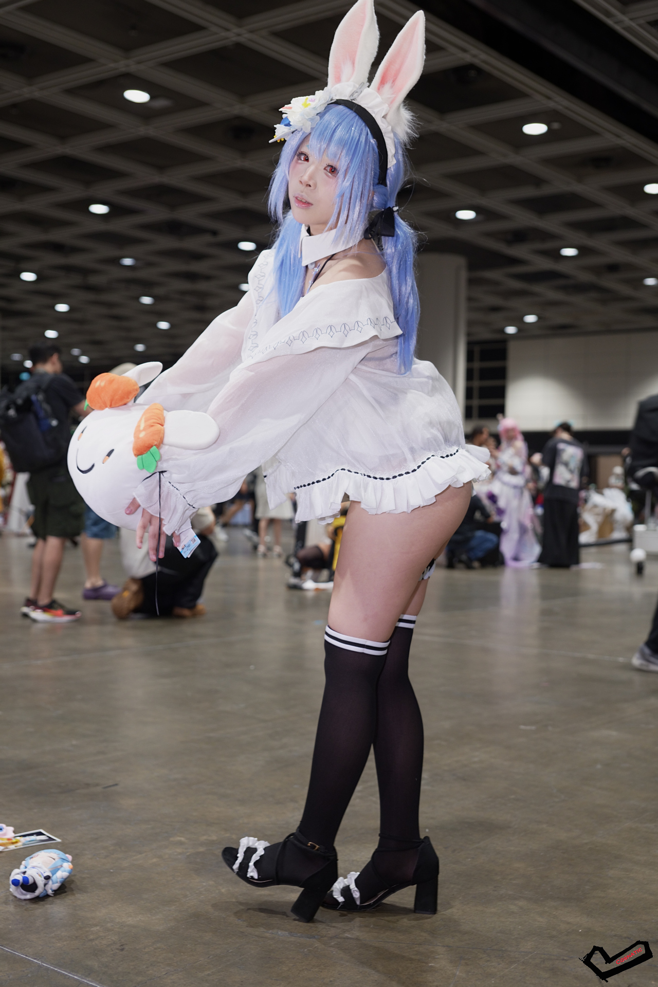 DSC08764.jpg